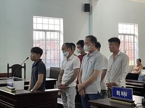 Bình Thuận: Băng nhóm trộm chó bán cho quán nhậu quy mô lớn, lãnh án
