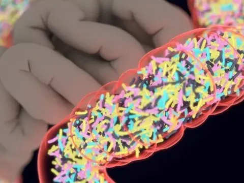 FDA phê duyệt thuốc làm từ... phân người