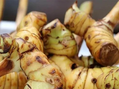 Loại củ thường vứt trong xó bếp không ngờ chữa được đủ bệnh, đặc biệt là dạ dày và xương khớp