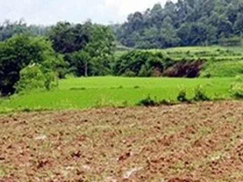 Chuyển mục đích sử dụng đất tại tỉnh Long An