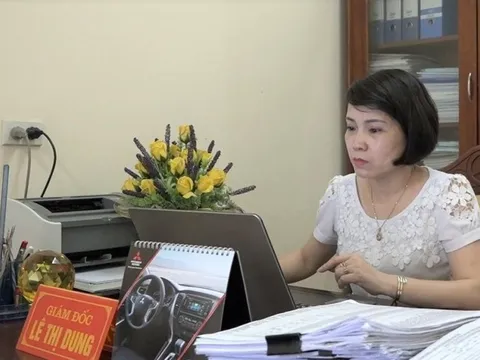 Luật sư chỉ "nút thắt" trong vụ Giám đốc TTGDTX bị xử 5 năm tù