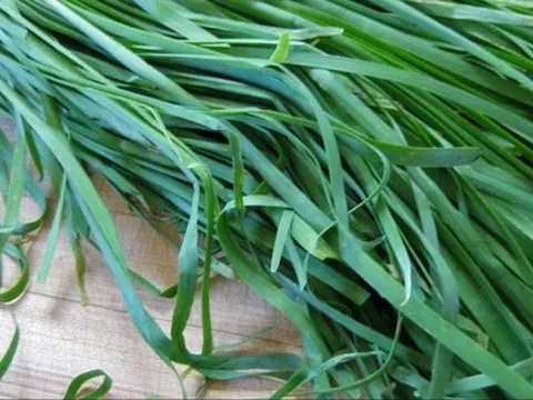 Loại cây họ hành là 'thuốc' quét mỡ cho gan, khoẻ tiêu hoá