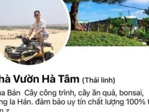 Hà Tĩnh: Bắt đối tượng lừa bán cây cảnh