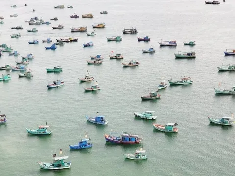 Kiên Giang: Kiểm điểm người đứng đầu các địa phương có tàu cá vi phạm