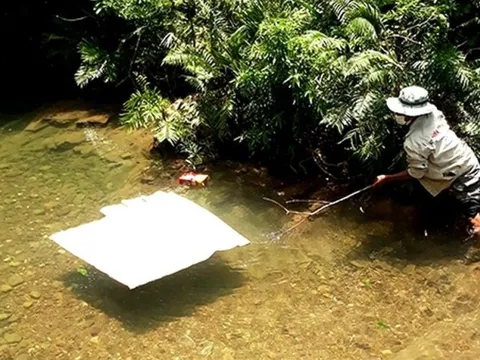 Nghệ An: Hai bé gái đuối nước thương tâm khi đi bắt ốc