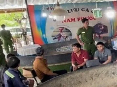 Quảng Nam: Triệt phá sới bạc trá hình dưới hình thức giao lưu gà chọi