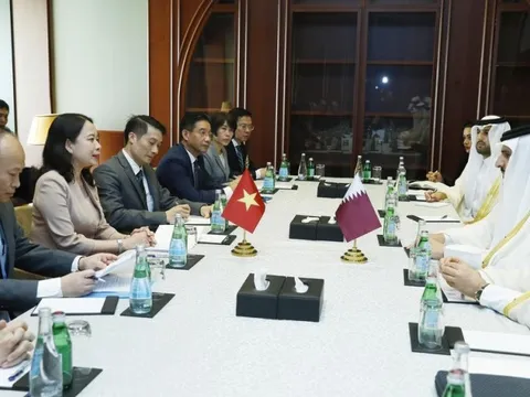 Thúc đẩy quan hệ hữu nghị, hợp tác nhiều mặt Việt Nam - Qatar