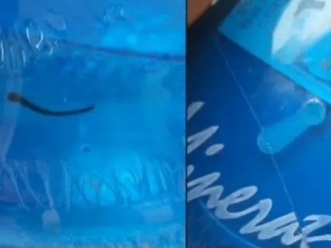 Đỉa ngoe nguẩy trong bình nước còn nguyên tem: Bộ Y tế yêu cầu làm rõ