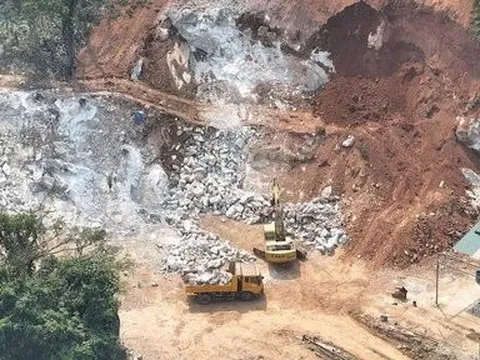 Xử phạt doanh nghiệp lấn chiếm hơn 1.600m2 đất rừng sản xuất