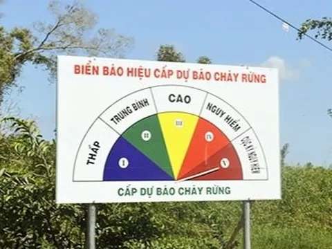 Lên phương án ứng phó nguy cơ cháy rừng cấp V ở Kiên Giang và Cà Mau