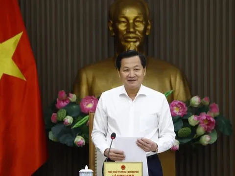 Tái cơ cấu EVN thành tập đoàn mạnh trong lĩnh vực năng lượng