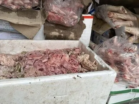 Phát hiện gần 1 tấn thực phẩm “bẩn”chuẩn bị vào bếp ăn khu công nghiệp