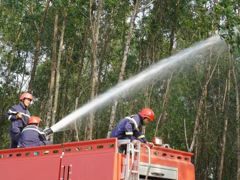 Miền Trung chủ động phòng chống cháy rừng