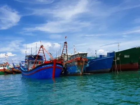 Bình Thuận: Phát hiện tàu cá mang 2 thiết bị giám sát của 2 "tàu ma"