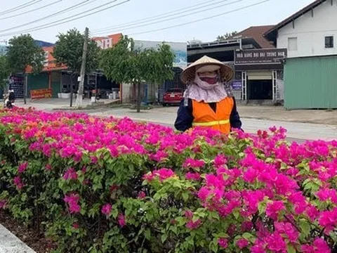 Tuyến đường hoa đẹp nao lòng tại Bình Dương