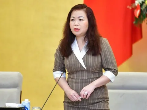 Đề nghị giữ quy định giá trần, không áp giá sàn với dịch vụ hàng không