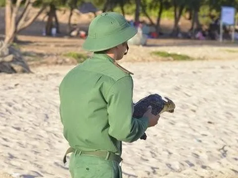 Bà Rịa -Vũng Tàu: Thả đồi mồi quý hiếm nặng 3kg về với môi trường biển