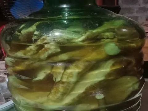 3 người bị ngộ độc rượu ngâm củ cây thương lục