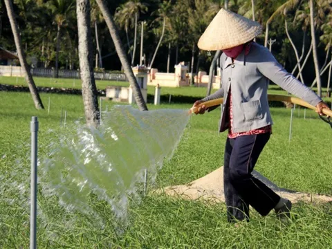 Giải pháp nào khắc phục tình trạng thiếu nước ngọt ở Lý Sơn?