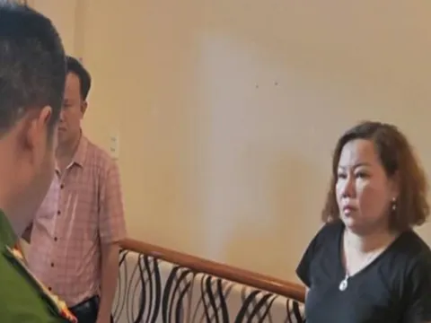 Đồng Nai: Tạm giam nữ giám đốc công ty trốn thuế hơn 3,5 tỷ đồng