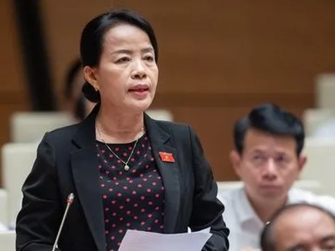 ĐBQH lo nguy cơ xóa bỏ xã hội hóa việc biên soạn sách giáo khoa