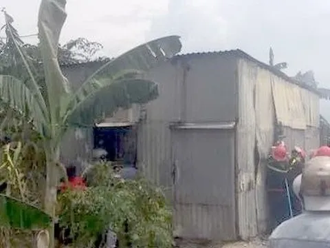 Buộc tháo dỡ Hải Tiến Glamping chặt cây, dựng chòi làm du lịch