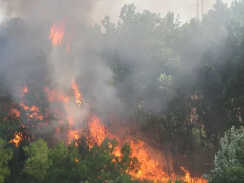 Thủ tướng chỉ đạo tăng cường các biện pháp cấp bách phòng cháy, chữa cháy rừng