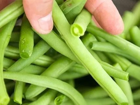 Loại quả là "vựa" chất dinh dưỡng, chống lão hóa cực hay nhưng ít người biết tới công dụng tuyệt vời này