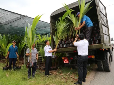 Bến Tre tặng quân, dân huyện đảo Trường Sa hơn 10.000 cây giống