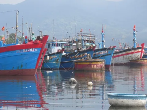 Đà Nẵng: Xử phạt nghiêm 100% hành vi khai thác IUU