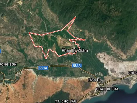 Bình Thuận: Phục hồi điều tra vụ cho thuê trái phép 6ha đất xã Hải Ninh