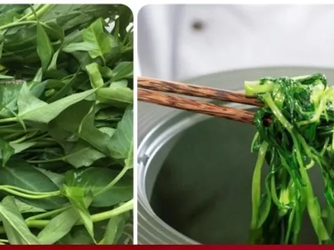 Dấu hiệu nhận biết rau muống nhiễm chì đơn giản nhất