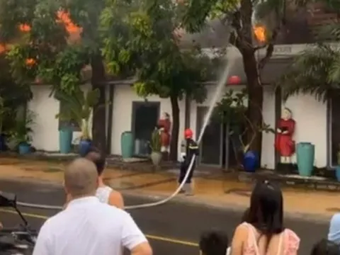 Bình Thuận: Điều tra nguyên nhân vụ cháy tại quán Bar Dragon Beach