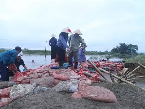 Bảo vệ đê điều là bảo vệ tính mạng, tài sản người dân