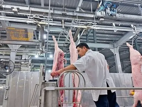 Tp.HCM kiểm soát giết mổ gia súc, từng bước đảm ứng nhu cầu thịt sạch