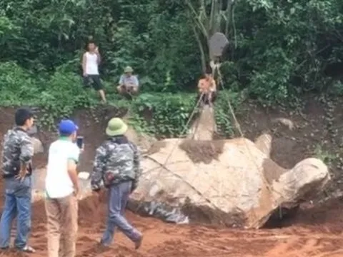 Xôn xao vụ đào tảng đá có hình giống con rùa được trả giá hơn 1 tỷ đồng