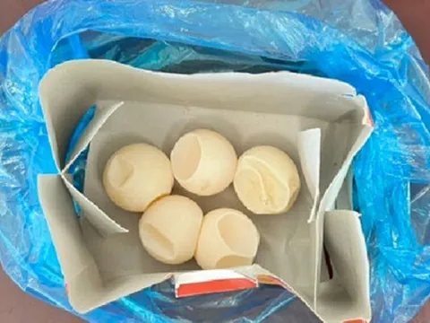 Phát hiện du khách nghi vận chuyển 5 quả trứng vích ở sân bay Côn Đảo