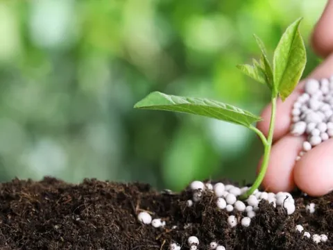 Vi phạm hành chính về phân bón bị phạt tới 200 triệu đồng