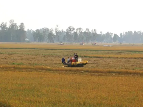 Chấp thuận chuyển mục đích sử dụng đất tại tỉnh Long An