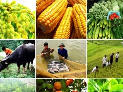 Vi phạm hành chính về trồng trọt bị phạt tới 100 triệu đồng