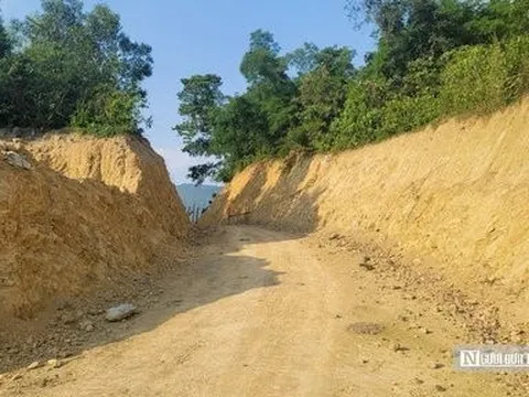 Sau phản ánh của Người Đưa Tin, chính quyền vào cuộc xử phạt 47,5 triệu đồng vì tự ý chuyển đổi đất rừng
