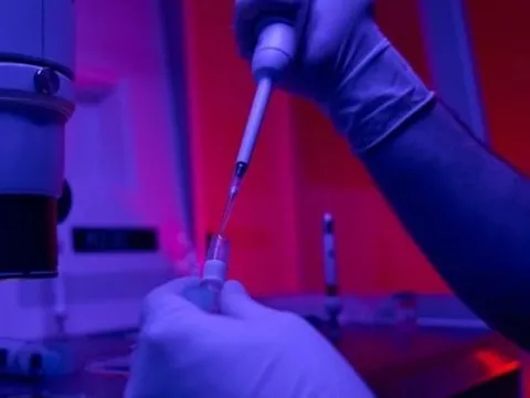 Tạo ra "cấu trúc giống phôi người" mà không cần trứng hay tinh trùng