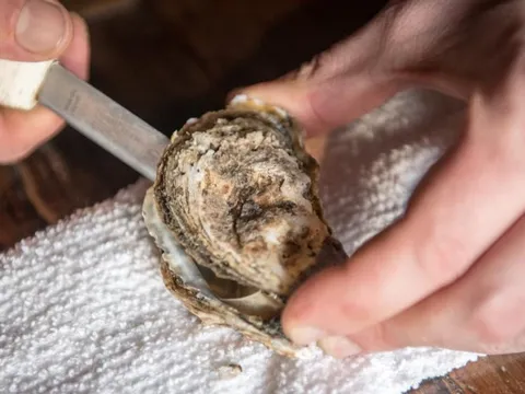 Mỹ: Người đàn ông 55 tuổi tử vong sau khi ăn 1 loại hải sản nhiều người thích ăn vào mùa hè