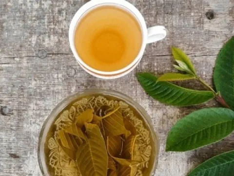 Loại lá tưởng bỏ đi nhưng làm theo cách này lại vô cùng lợi sức khỏe