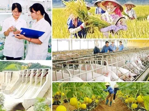 Thúc đẩy tiến độ giải ngân vốn thực hiện các chương trình mục tiêu quốc gia