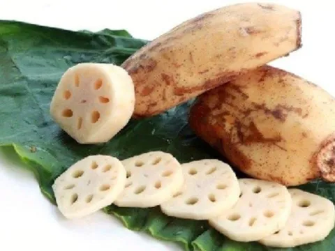 Hé lộ bí mật về loại cây sống trong bùn lầy, tất cả các bộ phận đều là “thần dược”