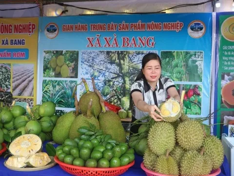 Bà Rịa - Vũng Tàu đưa nông sản OCOP 5 sao đến với người tiêu dùng