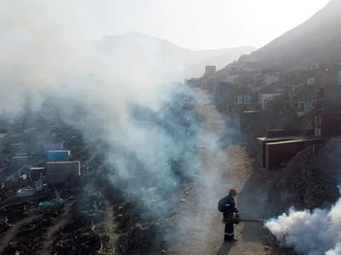 WHO: Bệnh từ muỗi sẽ tăng mạnh vì El Nino