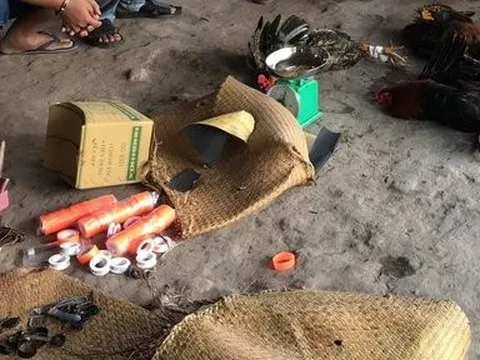 Long An: Triệt phá 2 tụ điểm đá gà, bắt quả tang 28 đối tượng