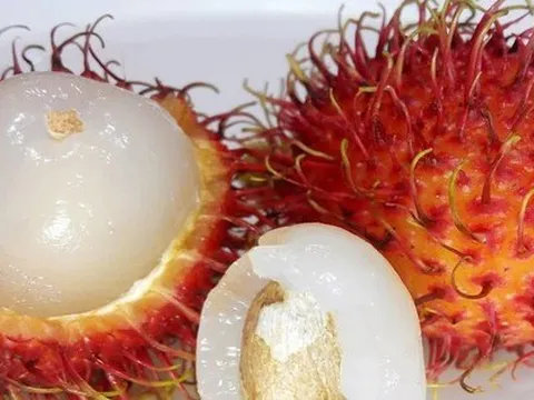 Bé gái 9 tháng tuổi tử vong do hóc hạt chôm chôm